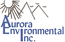Aurora Environmental
